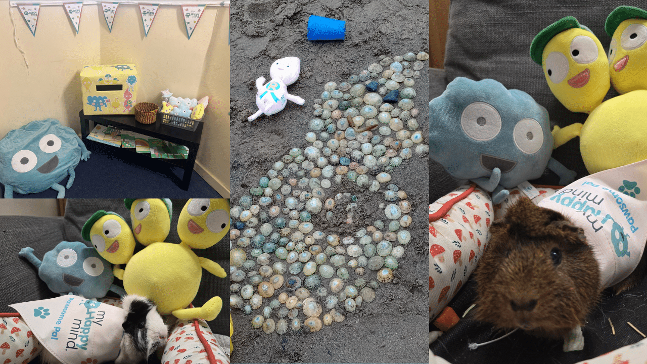 School spotlight blog thumbnail image