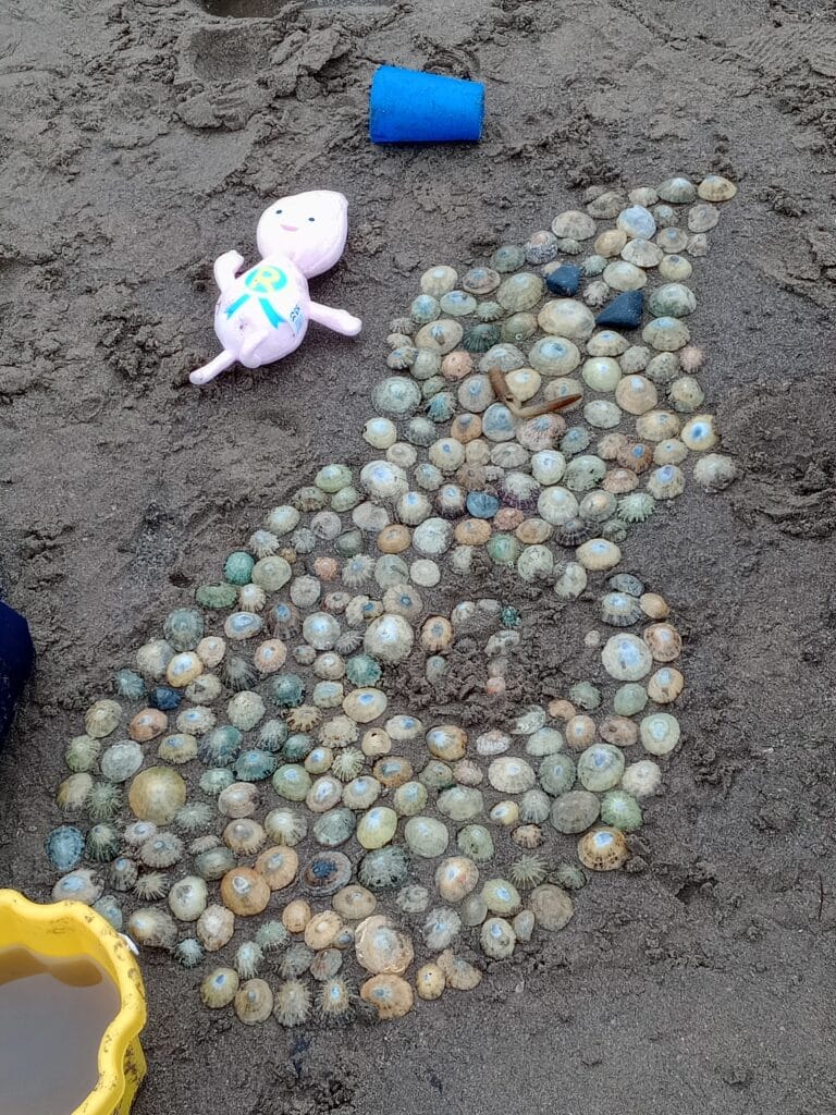 Fylingdales primary school beach character art made by the children