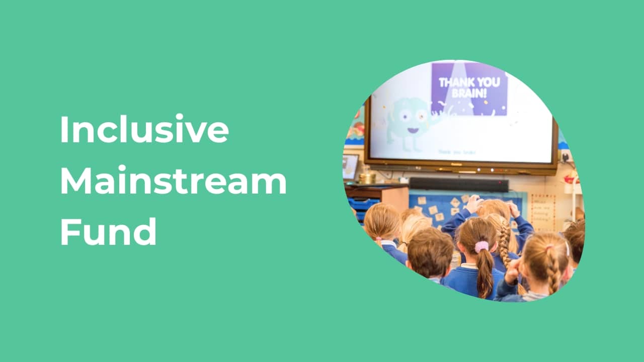 Inclusive Mainstream fund blog thumbnail image
