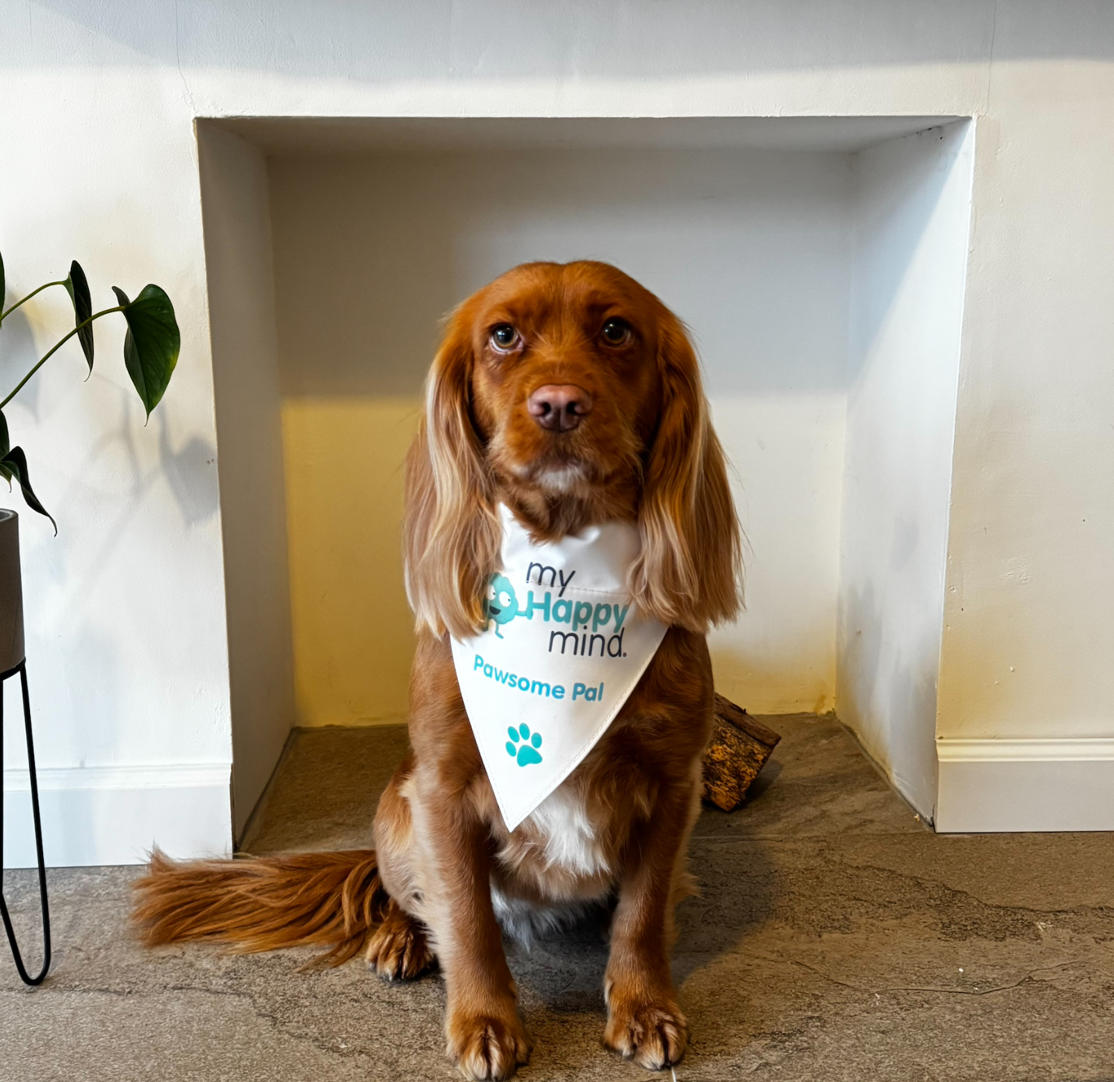 Curdworth Primary school's dog wearing their pawsome pal myHappymind bandana